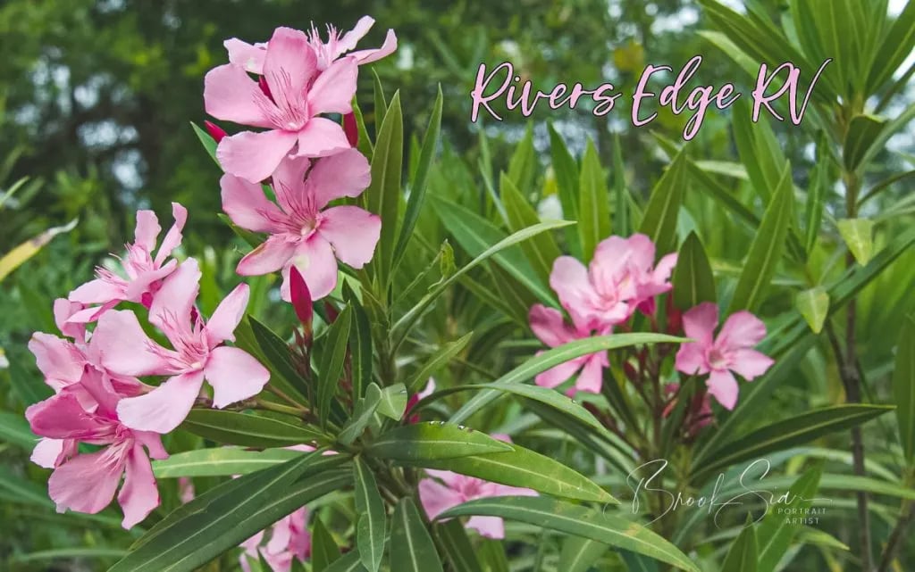 River’s Edge RV Campground gallery 2