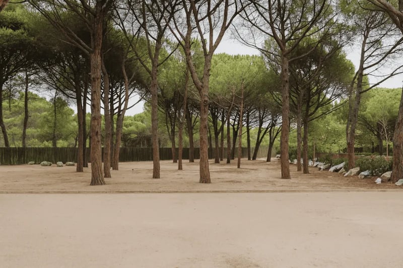 Wecamp L’ Escala Punta Milà gallery 2