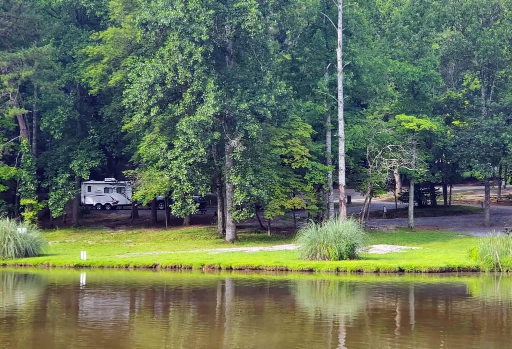 Spacious Skies Country Oaks