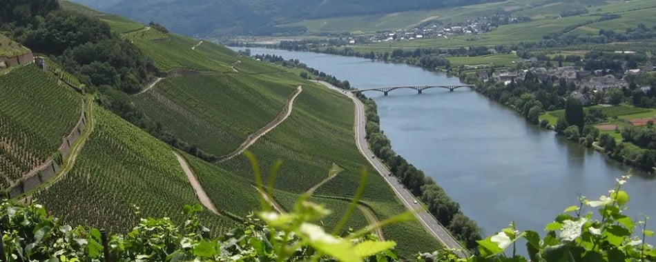 Campingplatz Gülser Moselbogen gallery 1