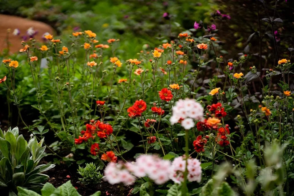 Six Mile Water Caravan Park gallery 1