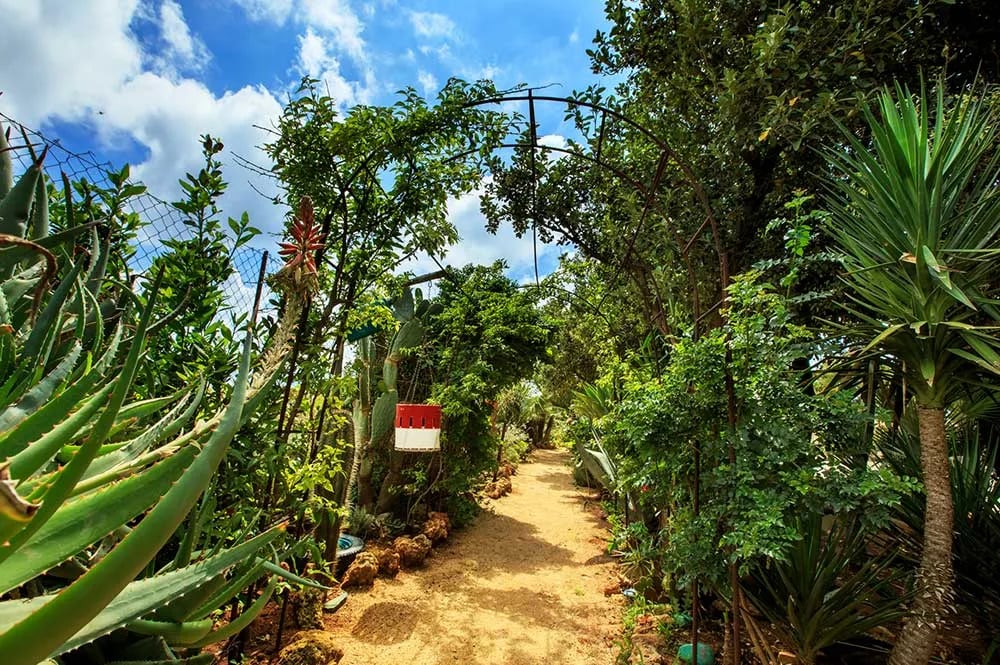 Campeggio El Bahira gallery 3