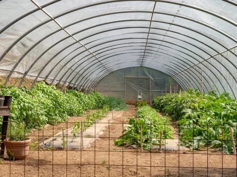 Agriturismo Ca du Chittu gallery 2