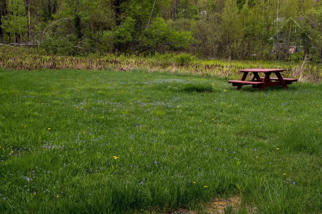 Maple Hill Campsites gallery 3