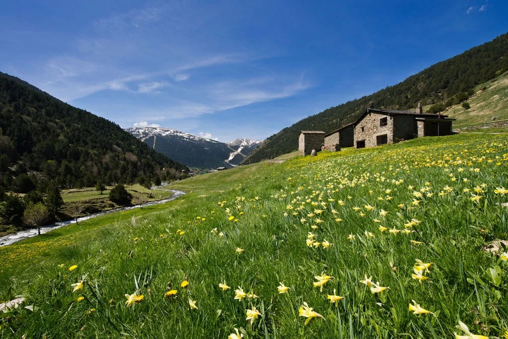 Camping Font de Ferrocins