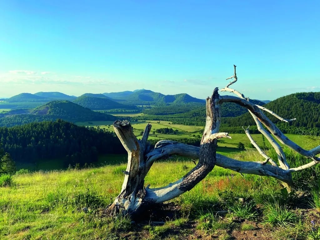 Aire De Camping Car AYDAT gallery 2