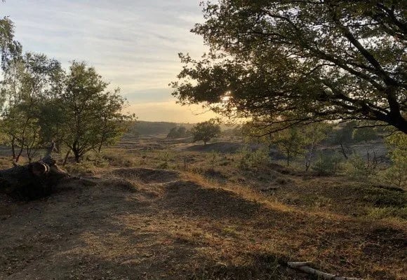 Vakantiecentrum De Hertenhorst gallery 2