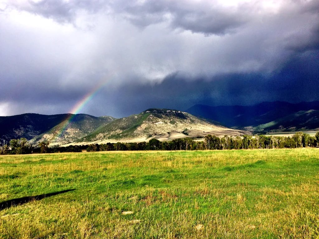 Livingston RV Park & Campground gallery 2