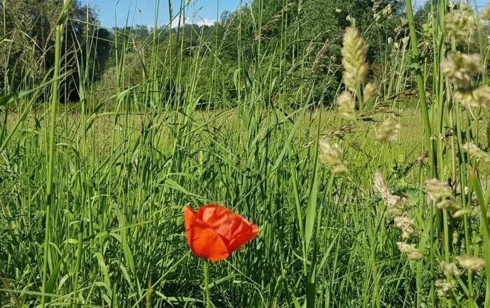 Camping Risle-Seine Les Étangs gallery 3