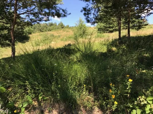 Camping La Gradina gallery 2