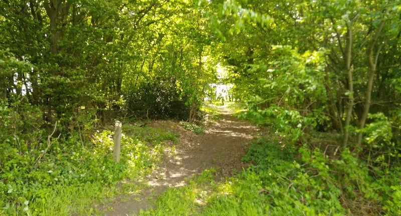 Black Grove Farm gallery 1