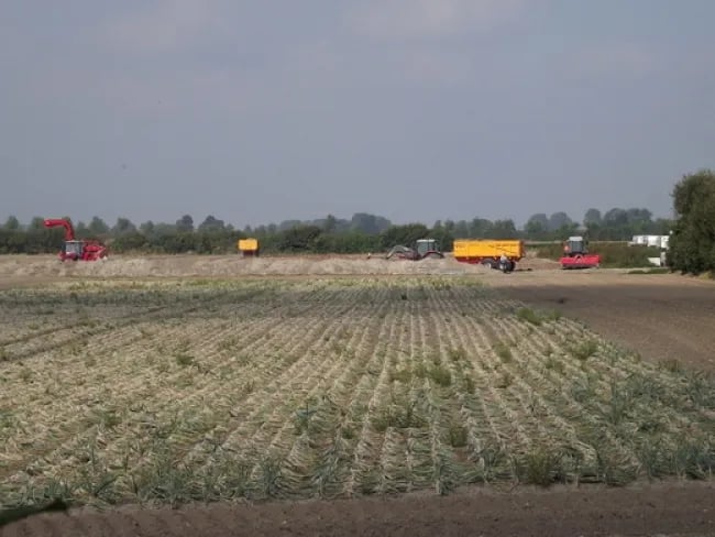 Camping De Lange Pacht gallery 1