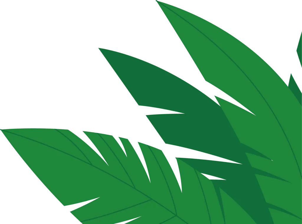 Mission Bay RV Resort