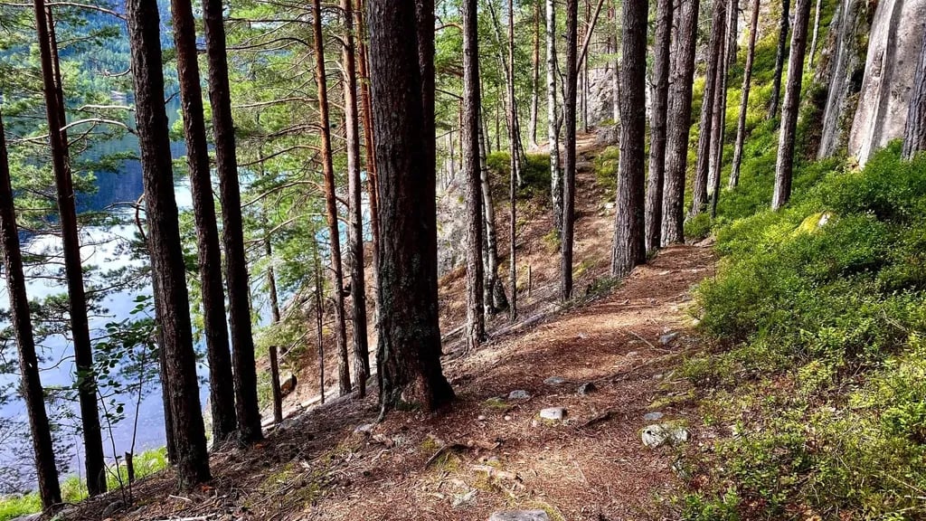 Telnessanden Camping gallery 2