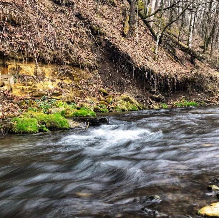 Wildcat Park and Landing