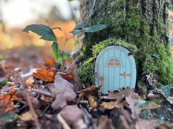 Bracelands Caravan Park and Campsite gallery 3