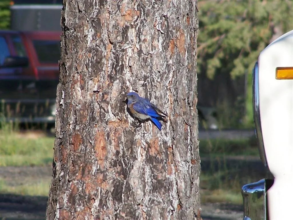 Morrow County OHV Park gallery 1