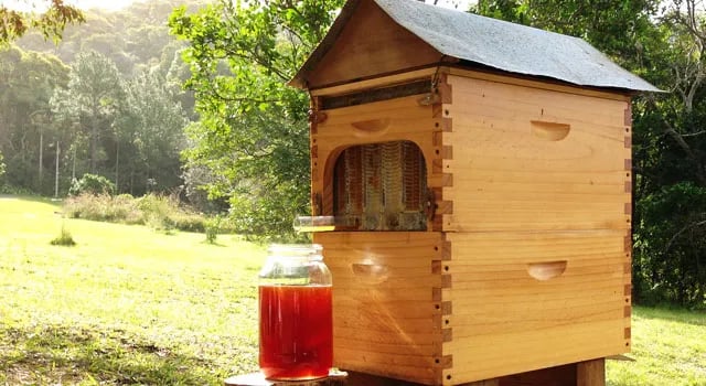 Pine Mountain RV Resort gallery 2