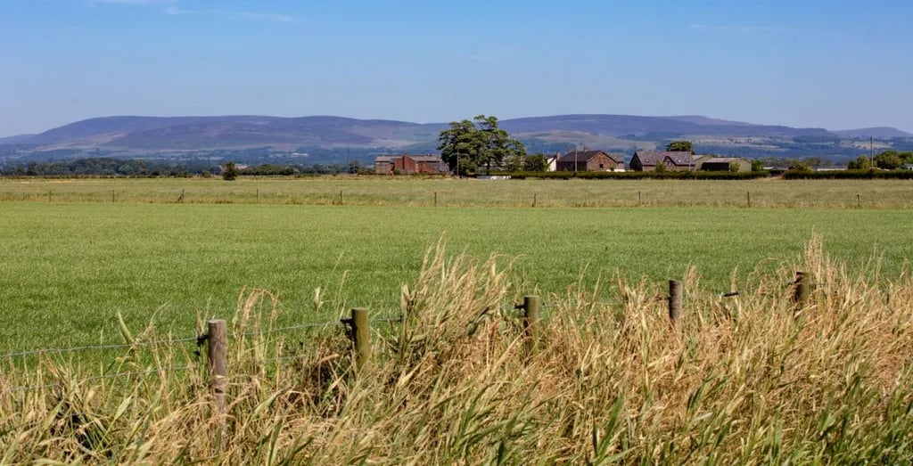 Near Moss Farm Leisure gallery 3