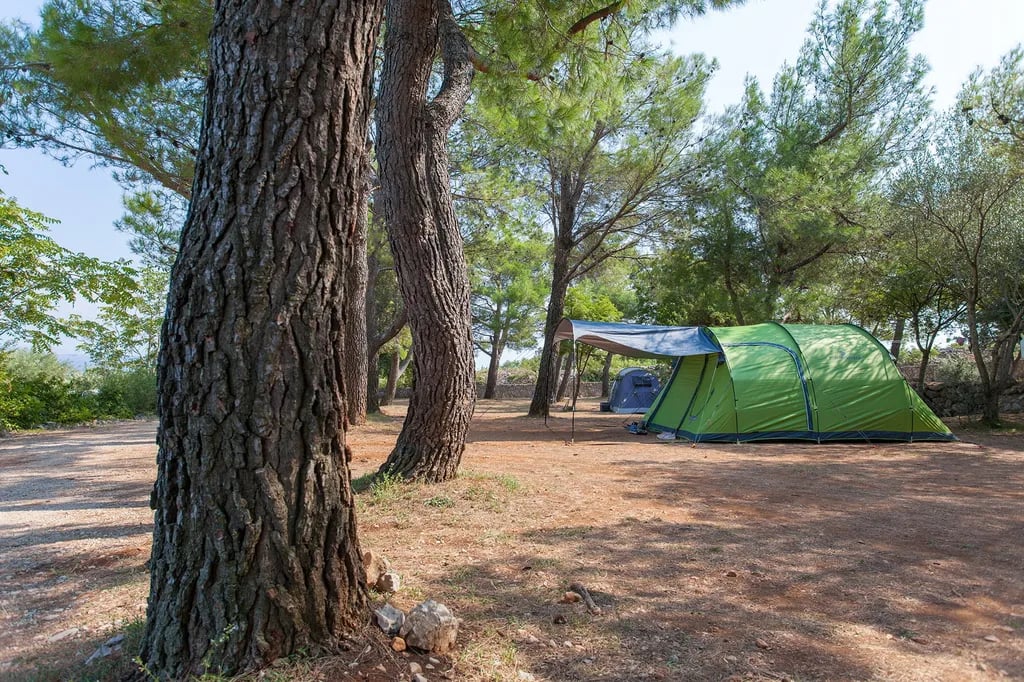Camping Bor