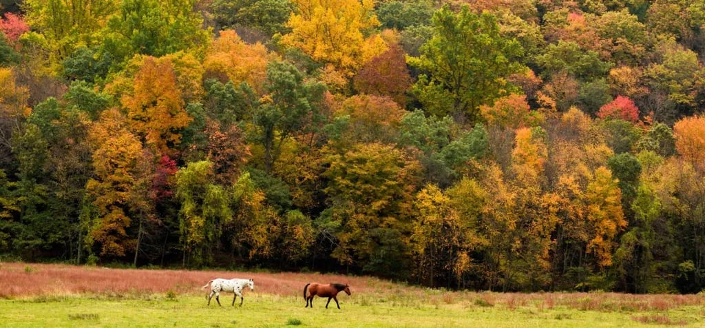 Macedonia Brook State Park Campground