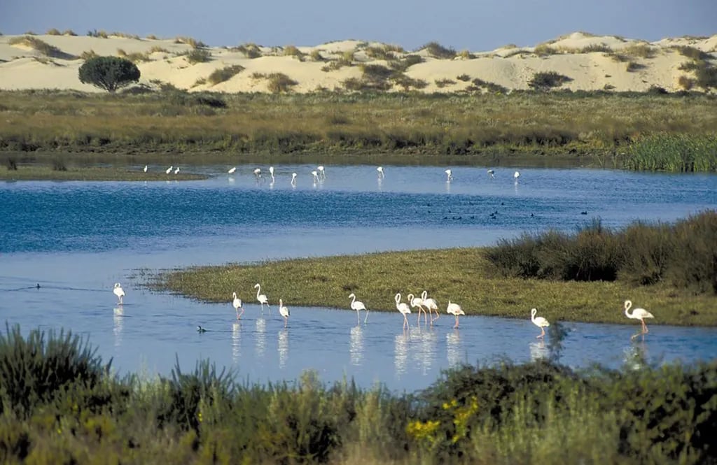 Camping Dehesa Nueva gallery 2