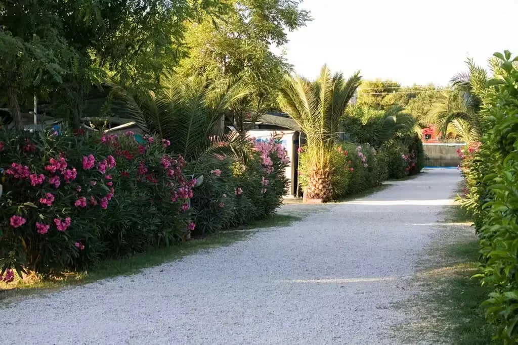 Campeggio Corrado gallery 1