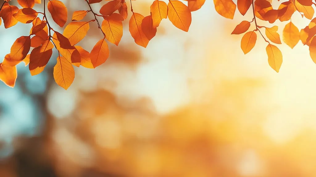 SKYE Texas Hill Country gallery 2