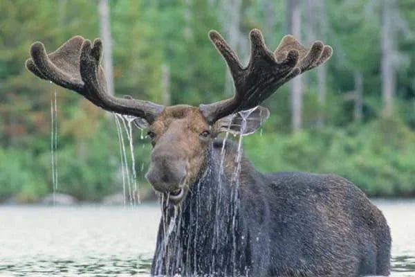 Northern Outdoors Adventure Resort gallery 3
