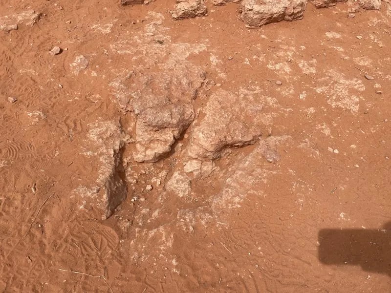 Zion View RV Park gallery 3