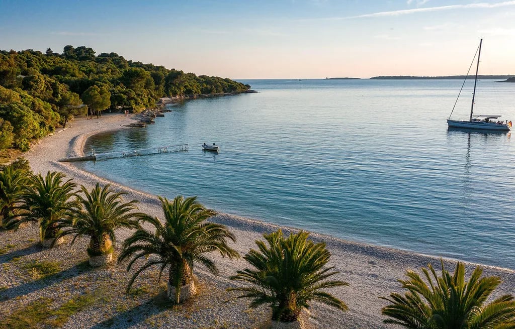 Brioni Sunny Camping gallery 1