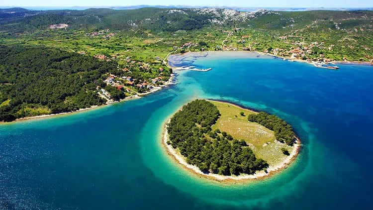 Camp Arboretum gallery 3