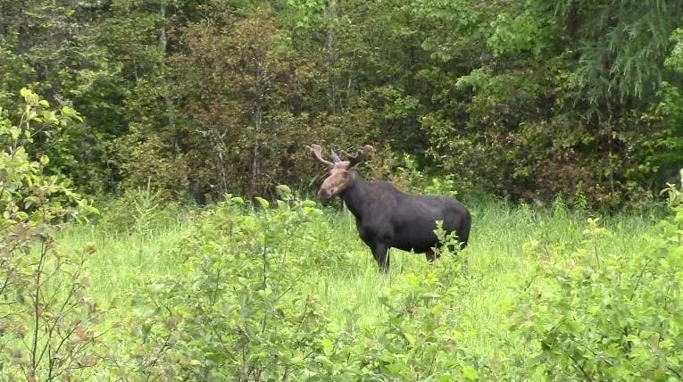 Northern Outdoors Adventure Resort gallery 2