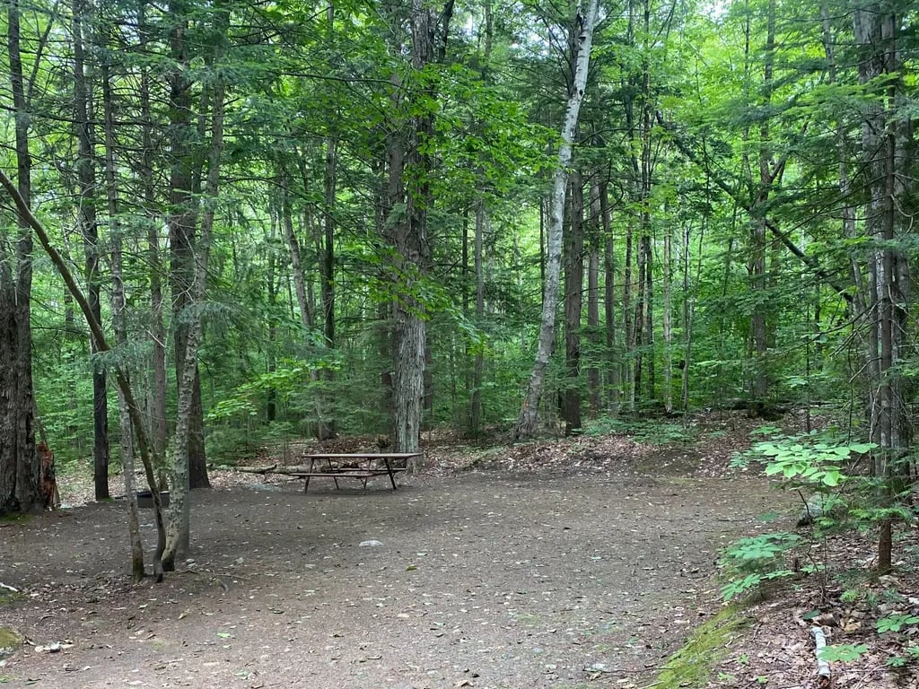 White Birches Camping Park gallery 1