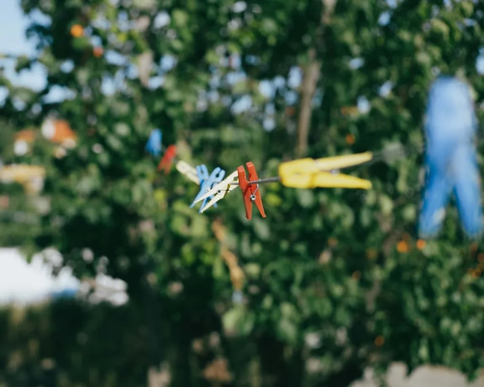 Vakantiepark Koningshof