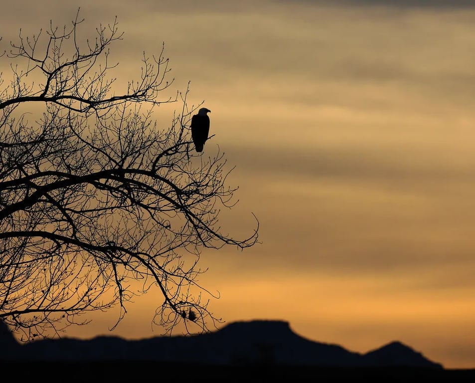Highline Lake State Park Campground