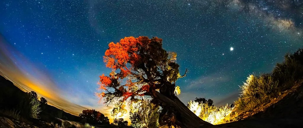 Desert Moon Hotel & RV Park gallery 2