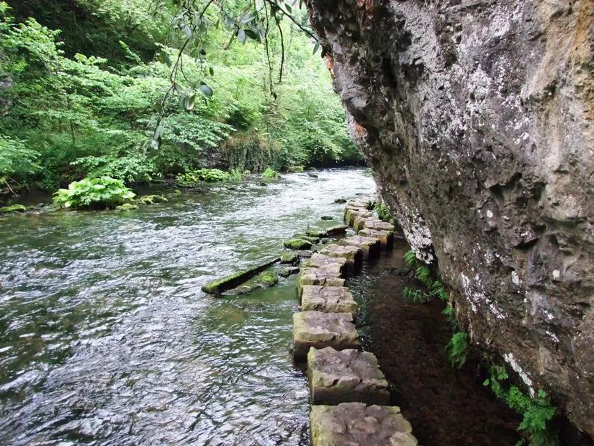 Beech Croft Farm Caravan Park gallery 3