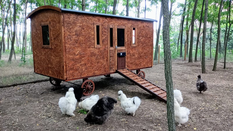 Alpacacamp gallery 3