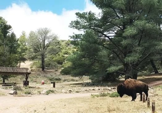 Parsons Landing Campground gallery 3