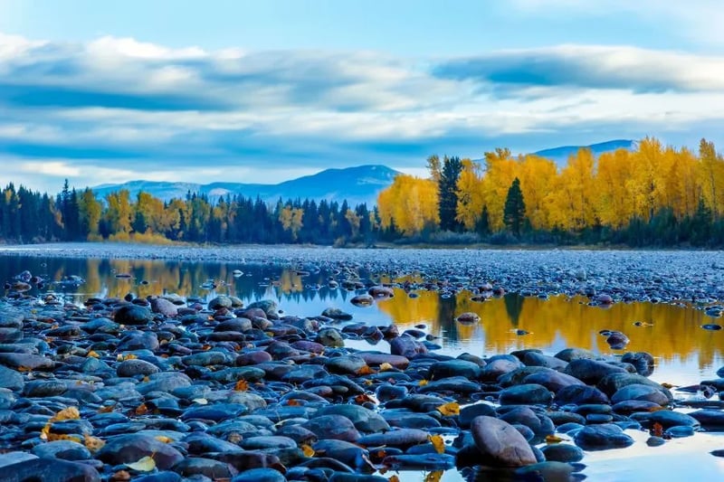 Spruce Park On The River gallery 3