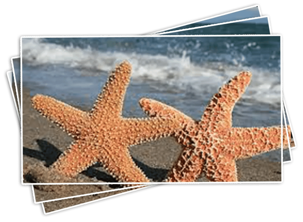 Mustang Hollow Campground