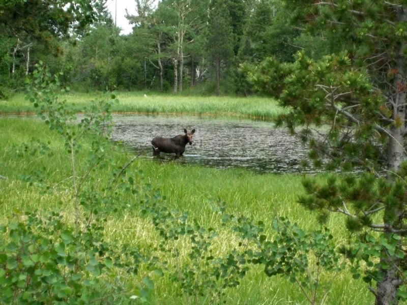 Hermit Park Open Space gallery 2