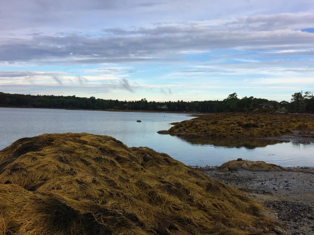 Mountainview Campground