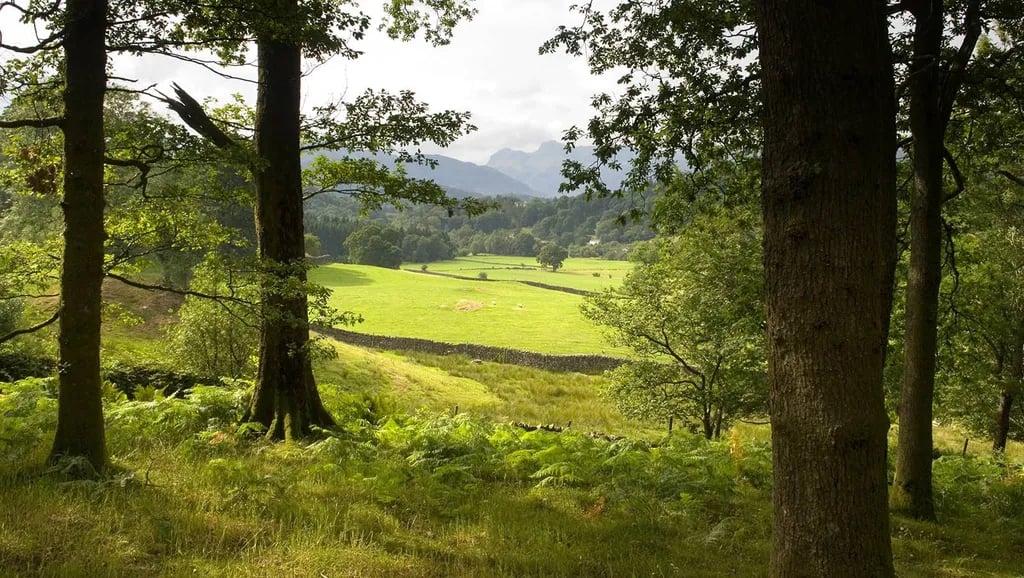 Skelwith Fold Caravan Park gallery 1