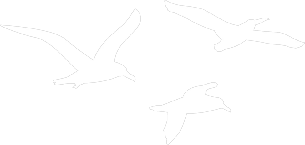 Camping La Capricieuse gallery 2