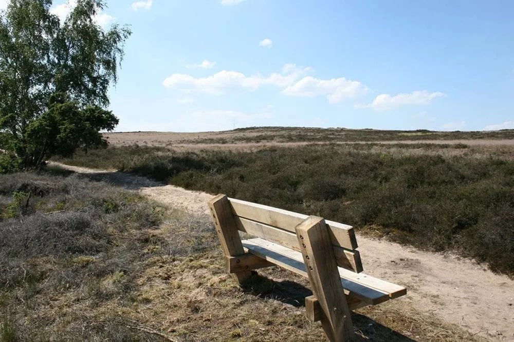 Natuurcamping De Lemeler Esch gallery 1