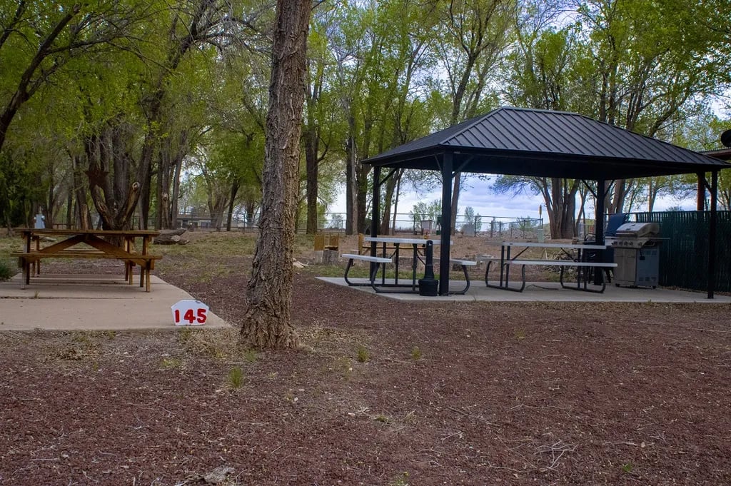 St. Johns RV Resort gallery 1