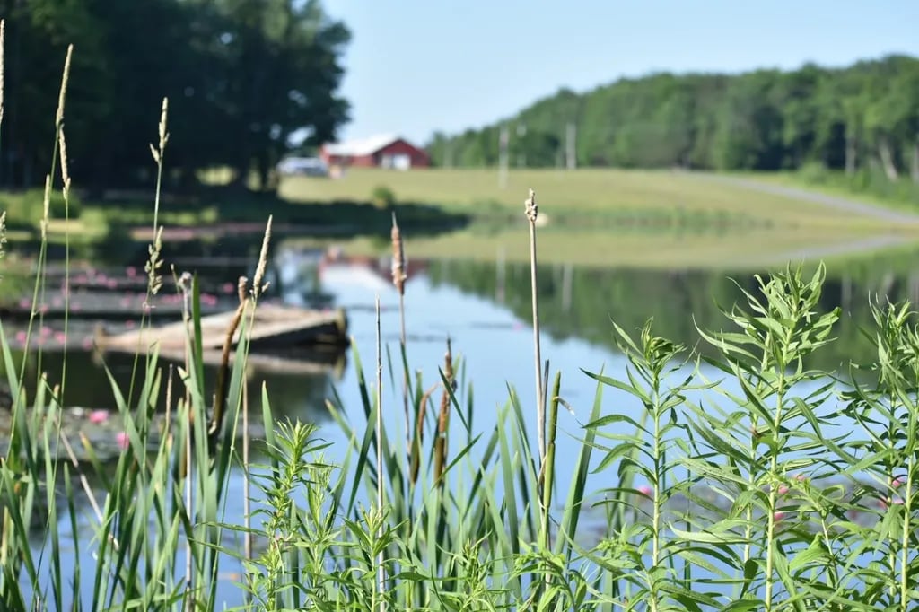 Forest Lake Campground gallery 1
