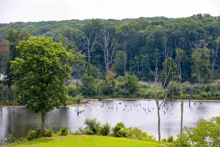 Rudolf Bennitt Conservation Area